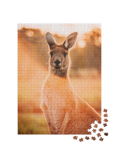Puzzel 1000 stukjes „Kangoeroe bij zonsondergang, Perth, West-Australië“