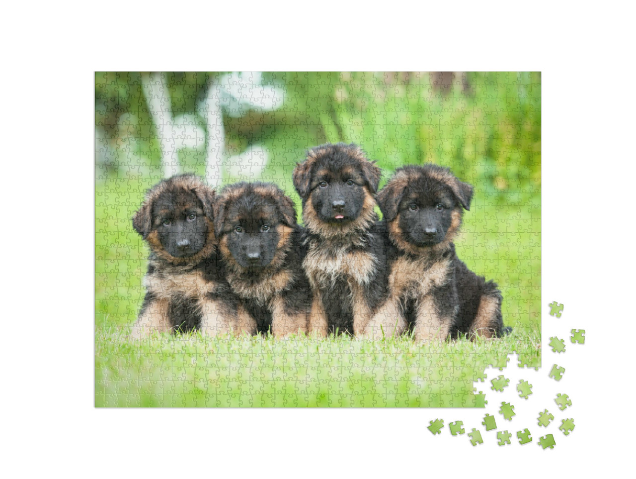 Puzzel 1000 stukjes „Vier kleine Duitse herder puppy's“