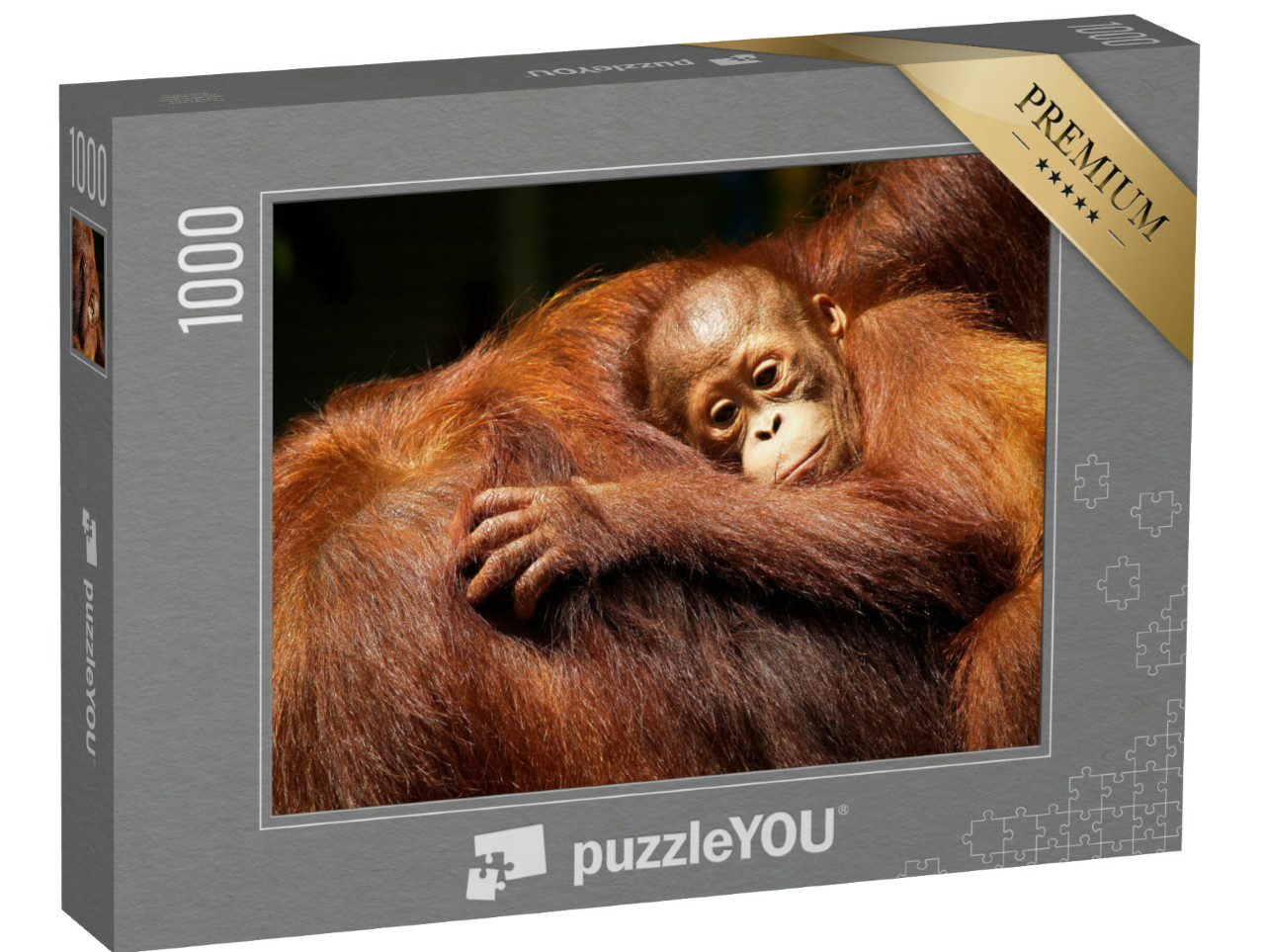Puzzel 1000 stukjes „Vrouwelijke orang-oetan en haar baby in het regenwoud“