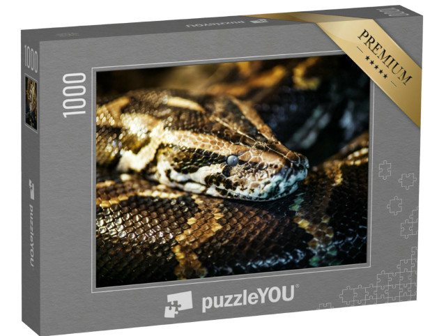 Puzzel 1000 stukjes „Netpython, ook bekend als koningspython of balpython“