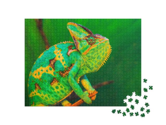 Puzzel 1000 stukjes „Chamaeleo calyptratus in Saoedi-Arabië, Jemen“