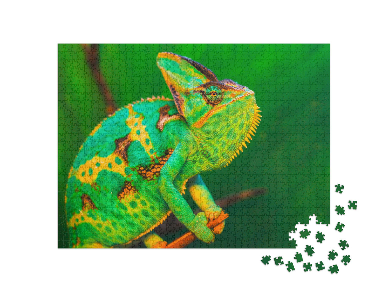 Puzzel 1000 stukjes „Chamaeleo calyptratus in Saoedi-Arabië, Jemen“