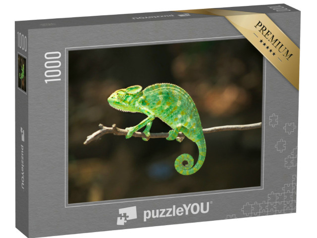 Puzzel 1000 stukjes „Zuid-Aziatische kameleon, Chamaeleo zeylanicus“