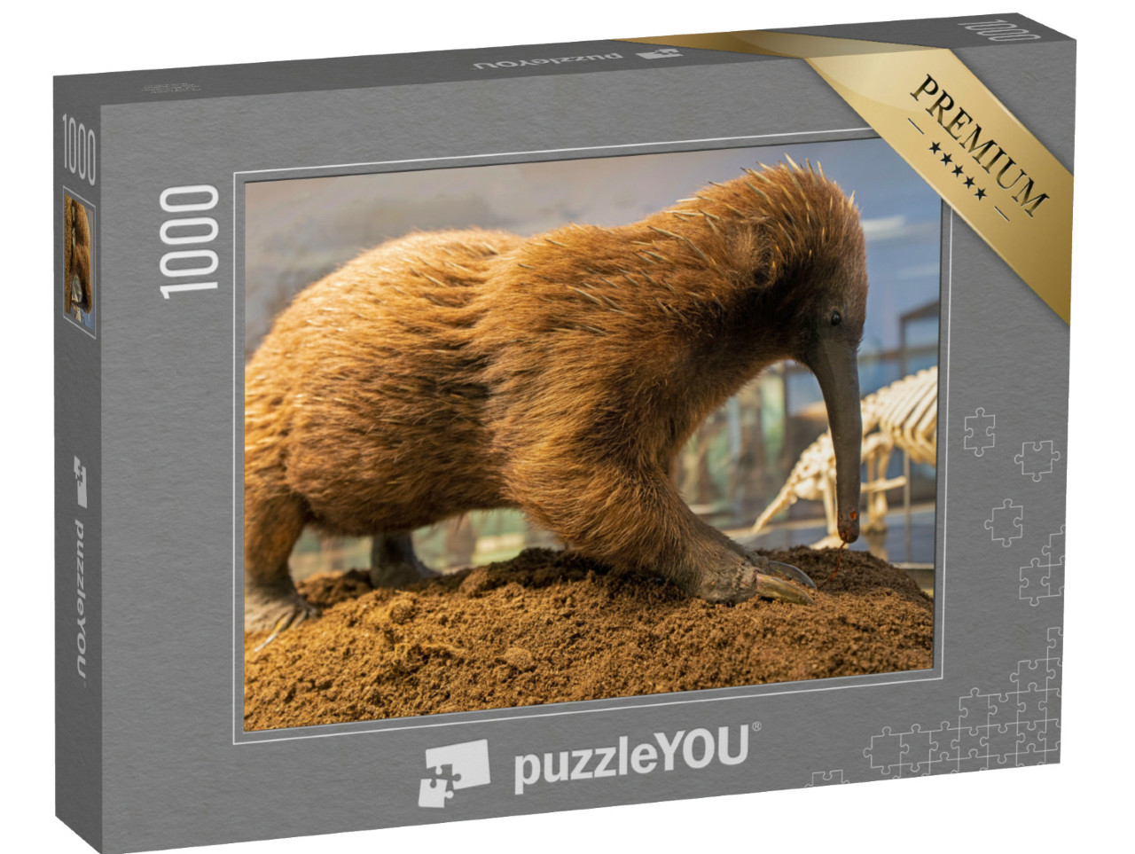 Puzzel 1000 stukjes „De Australische snavelmiereneter, stekelmiereneter“