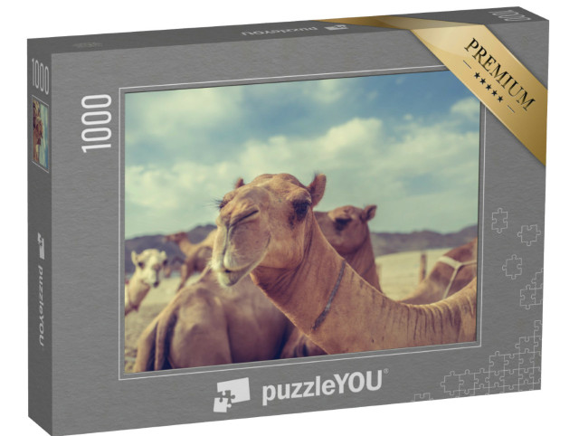 Puzzel 1000 stukjes „Kamelen in Saoedi-Arabië“
