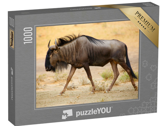 Puzzel 1000 stukjes „Blauwe gnoes in de Kalahari-woestijn“