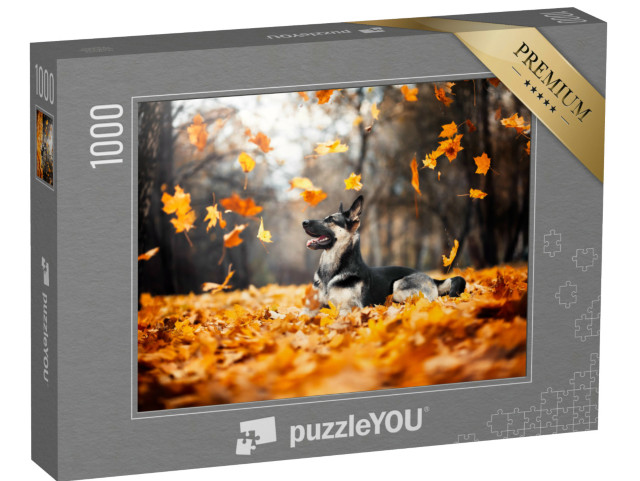 Puzzel 1000 stukjes „Herdershond in de wervelende herfstbladeren“