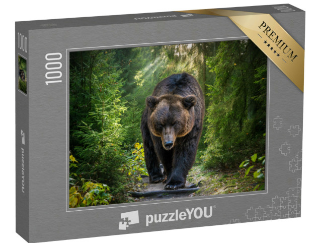 Puzzel 1000 stukjes „Close-up van een bruine beer uit Kamtsjatka“