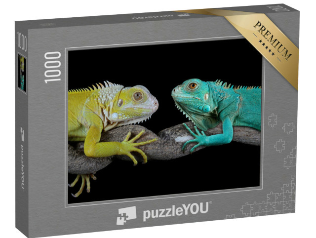 Puzzel 1000 stukjes „Blauwe leguanen“