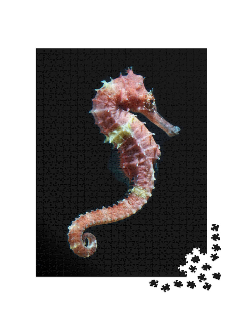 Puzzel 1000 stukjes „Zwemmend zeepaardje“