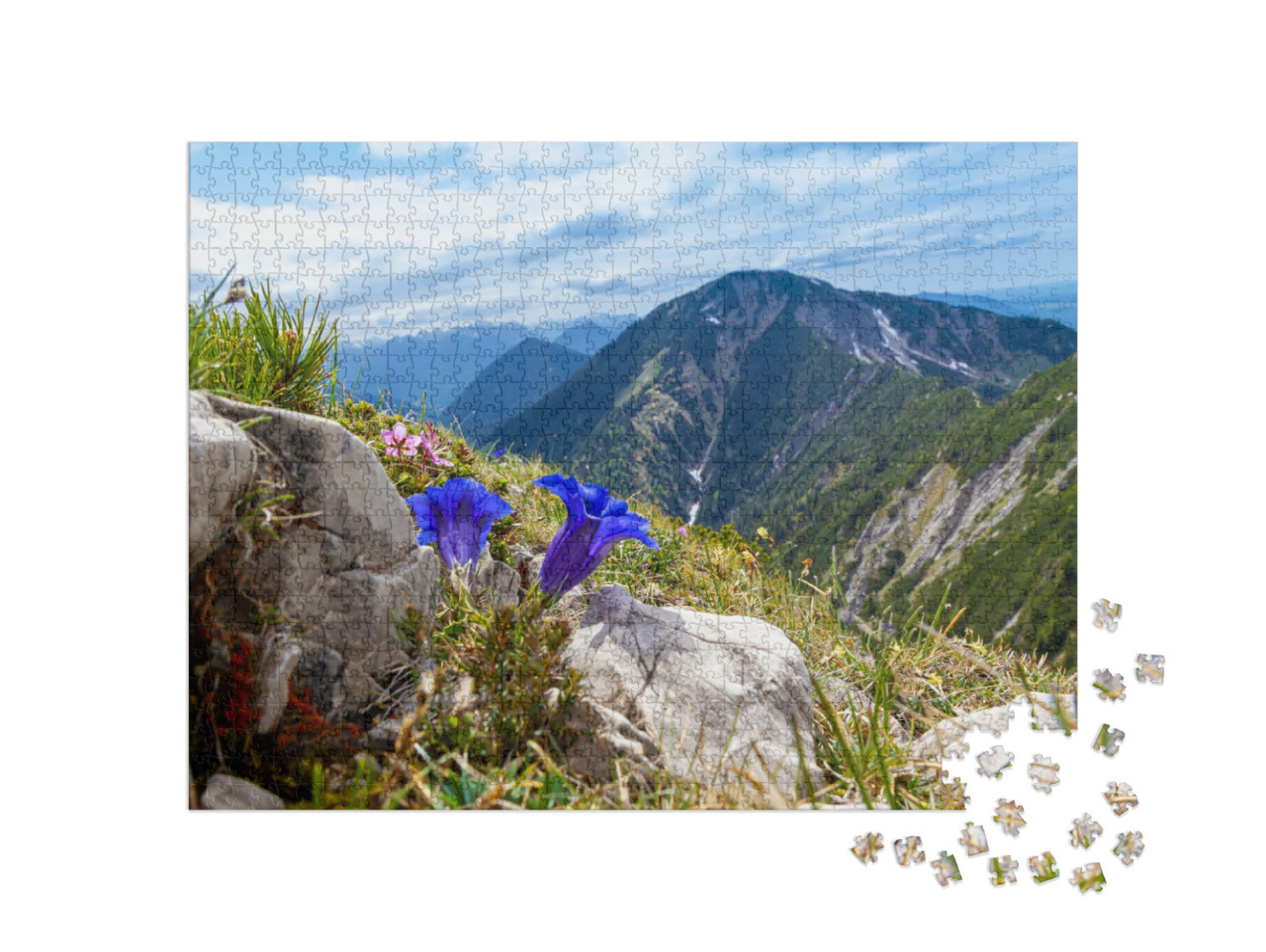 Puzzel 1000 stukjes „Herzogstand“