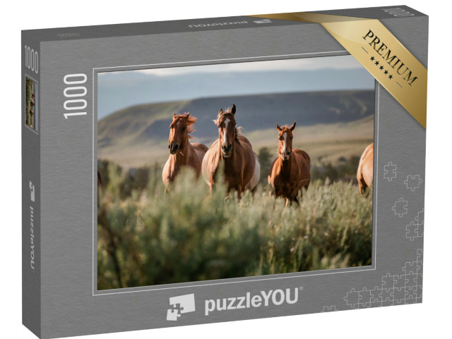 Puzzel 1000 stukjes „Prachtige Amerikaanse Quarter Horse Ranch paarden, Wyoming“