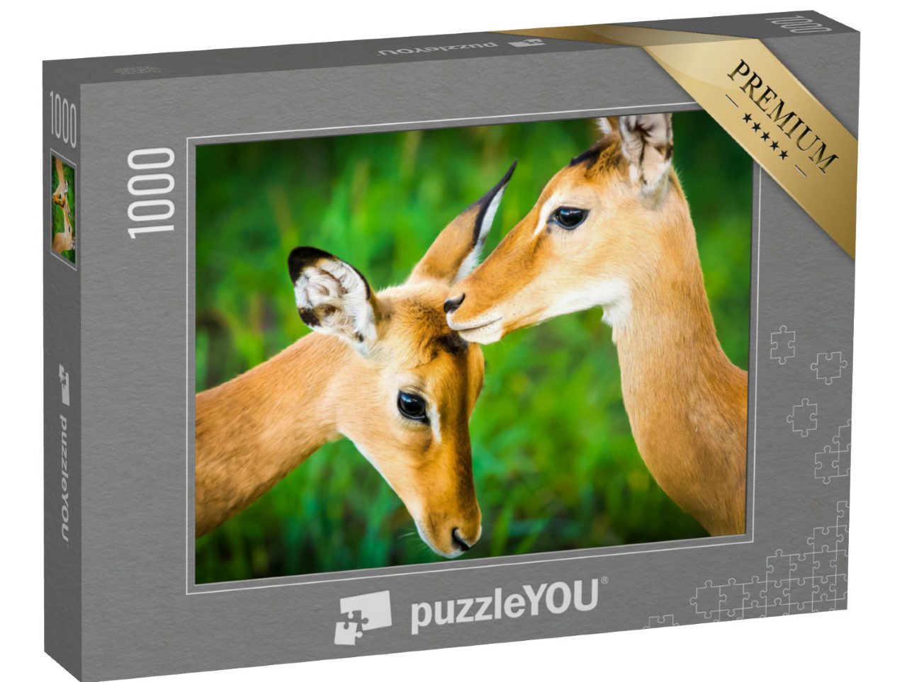 Puzzel 1000 stukjes „Jonge impala antilope“