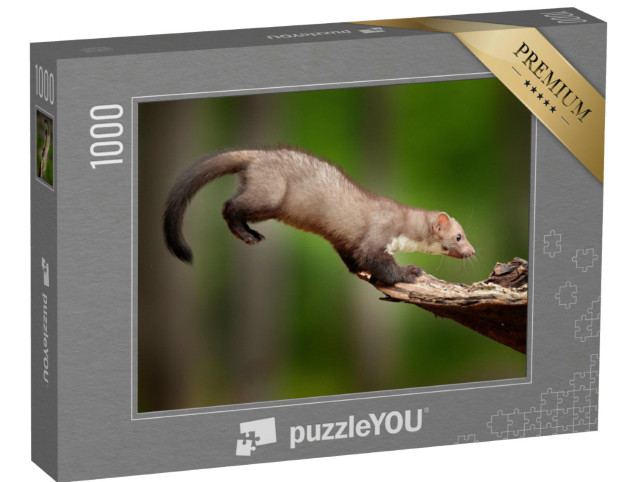 Puzzel 1000 stukjes „Springende boommarter, ook bekend als steenmarter“