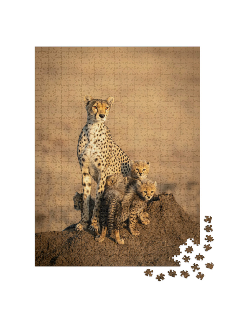 Puzzel 1000 stukjes „Vrouwelijke cheeta en haar vier kleine cheeta welpjes“