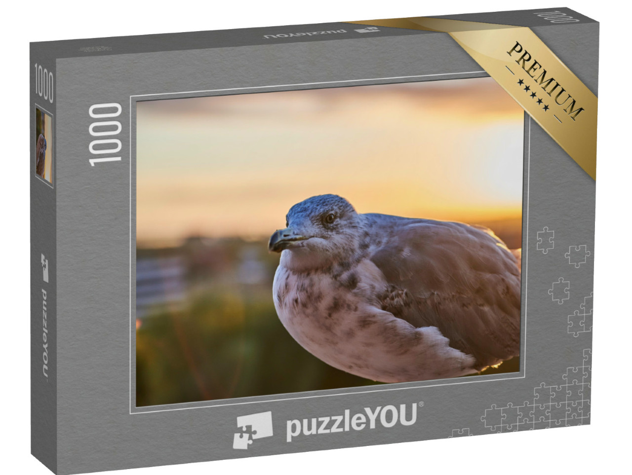 Puzzel 1000 stukjes „Close-up van een zeemeeuw in het avondlicht“