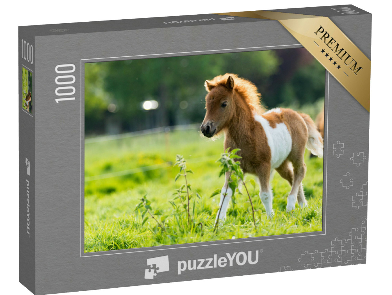 Puzzel 1000 stukjes „Schattig Shetlandveulen verkent de wereld“